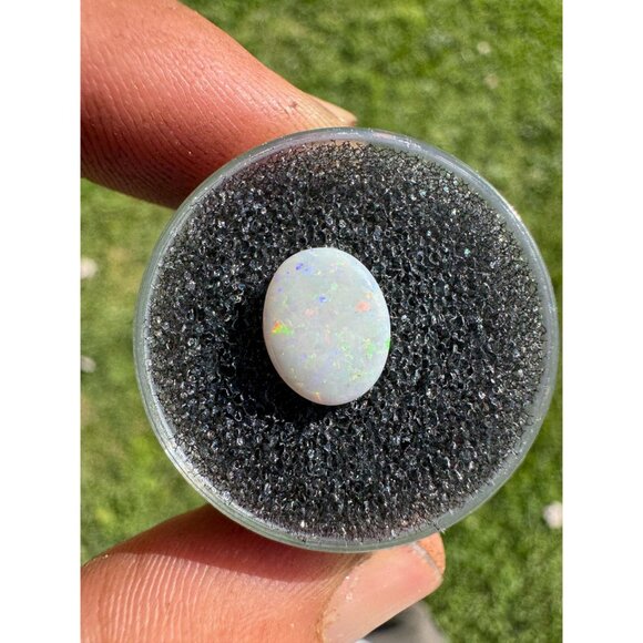 Australian Opal Cabochon - 1.03 carat in Display Box #55 - Picture 2 of 5